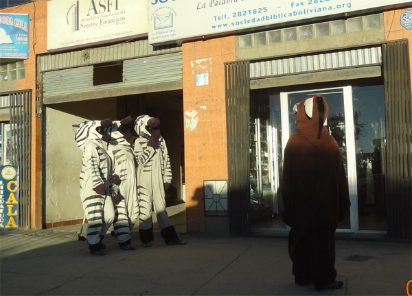 Les z�bres de La Paz, �ducateurs urbains